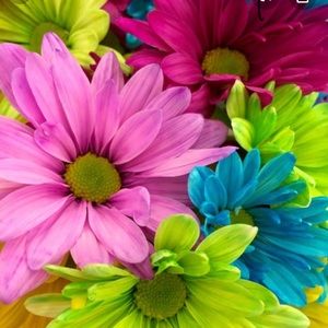 Meet your Posher, Ebony